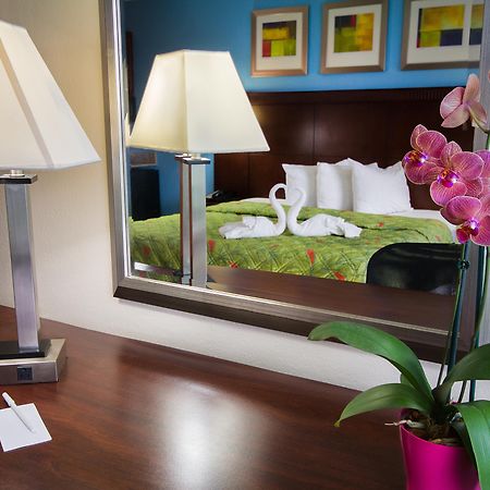 Ramada By Wyndham Flamingo Water Park Otel Kissimmee Dış mekan fotoğraf