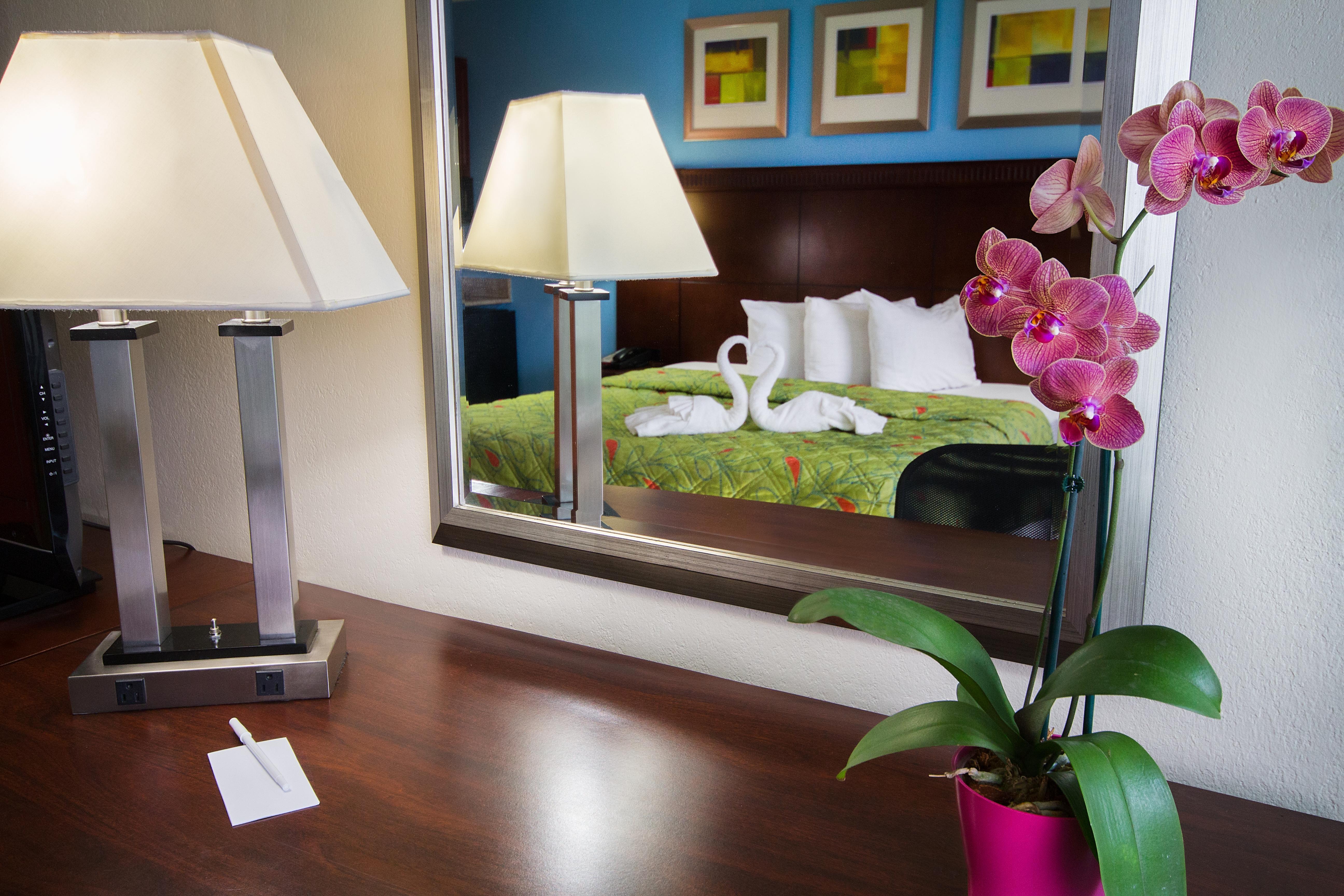 Ramada By Wyndham Flamingo Water Park Otel Kissimmee Dış mekan fotoğraf